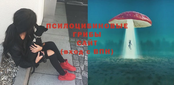 apvp Красноперекопск