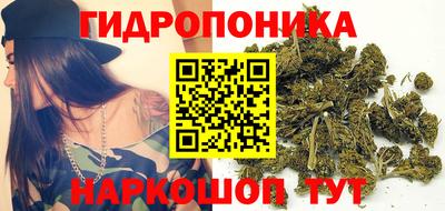 apvp Нягань