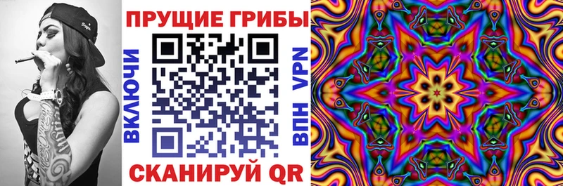 где можно купить   Краснотурьинск  Псилоцибиновые грибы Cubensis 