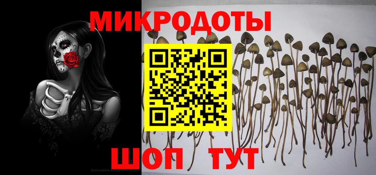 Галлюциногенные грибы MAGIC MUSHROOMS  Вход с VPN  Краснотурьинск 