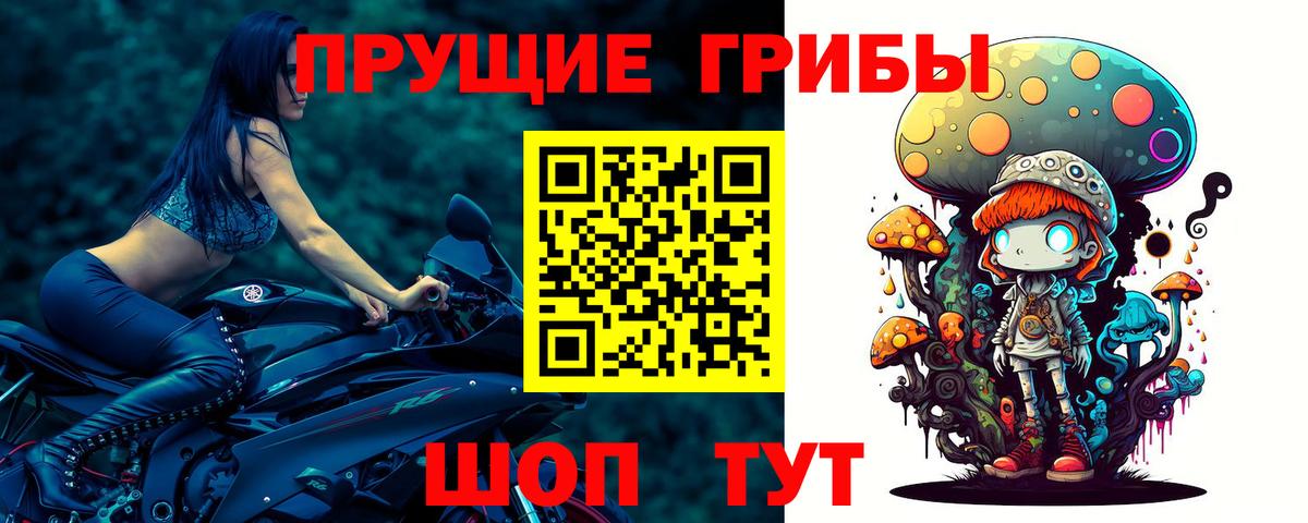 Галлюциногенные грибы прущие грибы Краснотурьинск