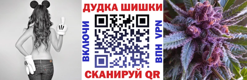 Конопля сатива  Краснотурьинск 